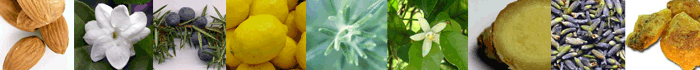 essential_oil_herbs