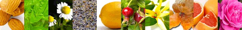 aromeconcepts herb picture